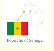 強くて美しいセネガル共和国のコットン